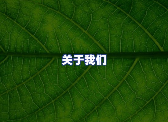 专业团队